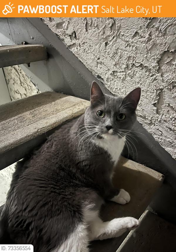 Found/Stray Female Cat last seen Cottonwood apmts, Salt Lake City, UT 84117