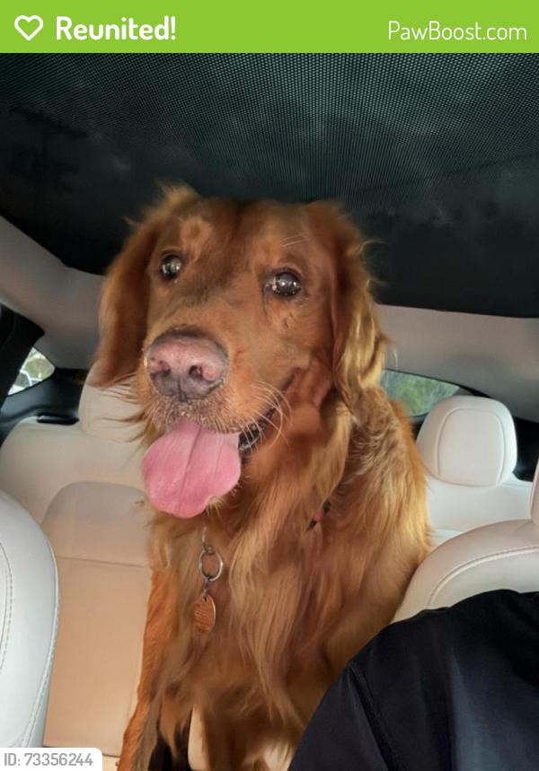 Reunited Male Dog last seen Gelato Vero, San Diego, CA 92103