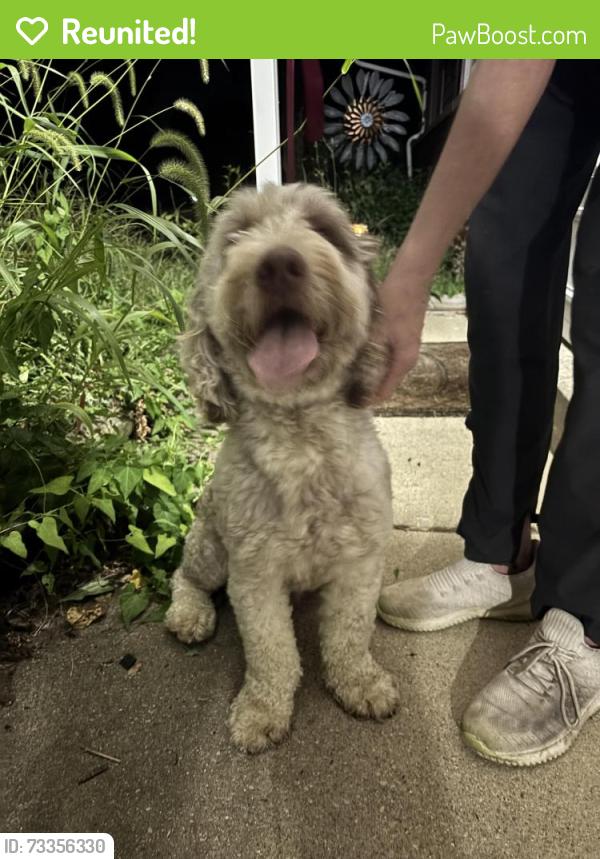 Reunited Male Dog last seen Millhoff Dr, Huber Heoghts, Huber Heights, OH 45424