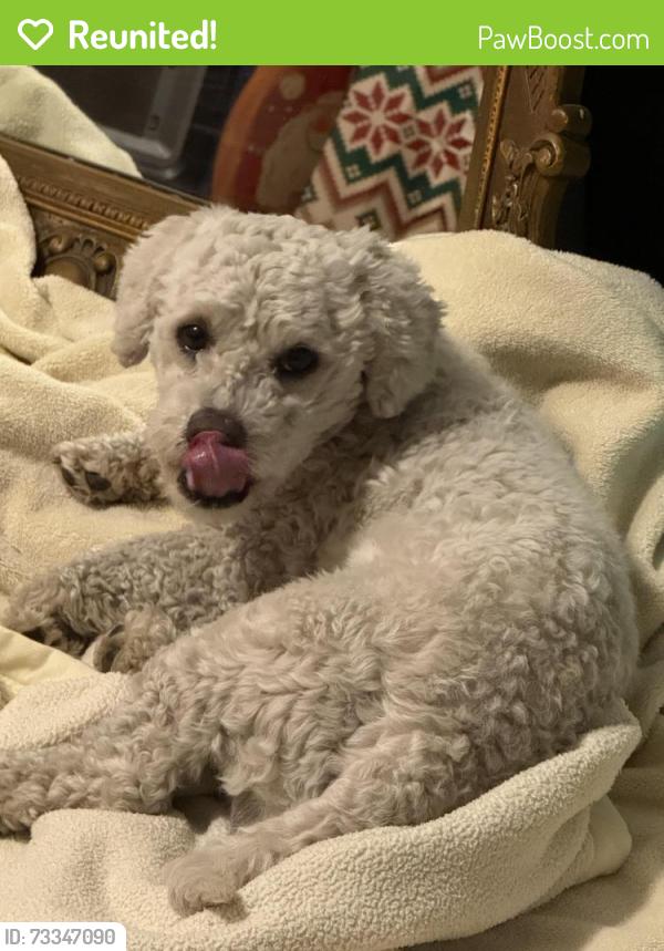 Reunited Male Dog last seen Near McLean Rd, Baytown, TX 77521