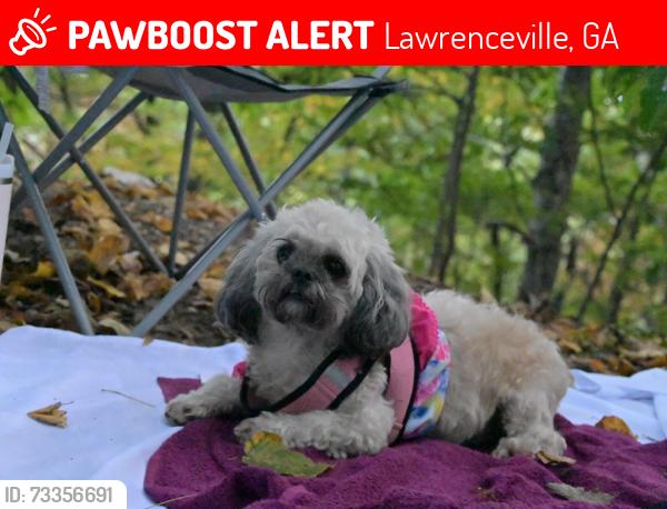 Lost Female Dog last seen Honeysuckle Cir and West Pike Street, Lawrenceville, GA 30046
