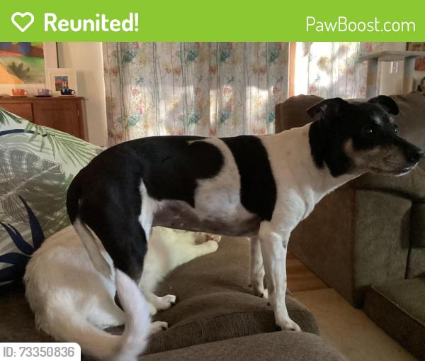 Reunited Female Dog last seen Lakehill Ct and Cresthill Rd, Sacramento County, CA 95624