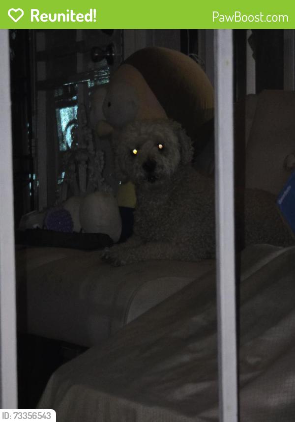 Reunited Unknown Dog last seen Shelton st. and Baker st., Santa Ana, CA 92703