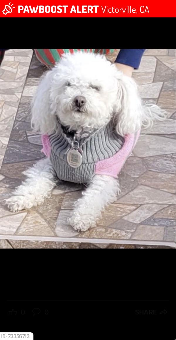 Lost Female Dog last seen Hopland, chumach, Victorville, CA 92394
