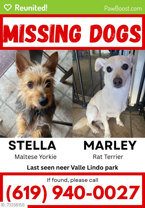 Reunited Female Dog last seen Brandywine Ave and Main St, Chula Vista, CA 91911