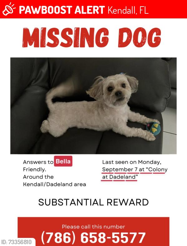 Lost Female Dog last seen Near SW 77th Ave, Kendall, FL 33156