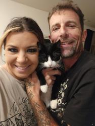 Reunited Female Cat last seen The cliffs neighborhood. Off rangewood. Near winged deer park. Piney flts., Piney Flats, TN 37686
