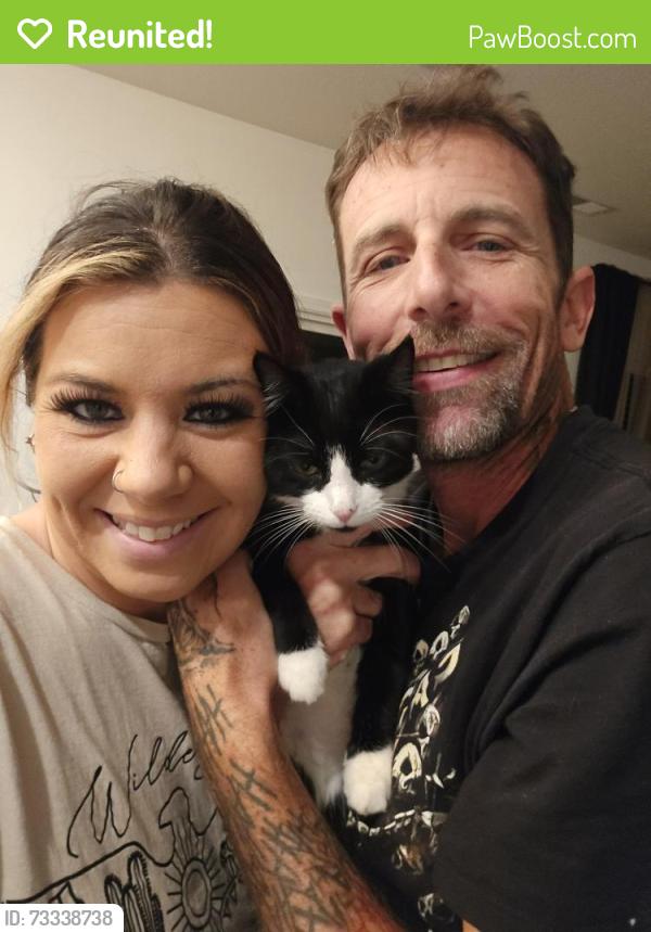 Reunited Female Cat last seen The cliffs neighborhood. Off rangewood. Near winged deer park. Piney flts., Piney Flats, TN 37686