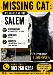 Lost Male Cat last seen Haazendal Complex, Ronelle street Brackenfell, Cape Town, WC 7560