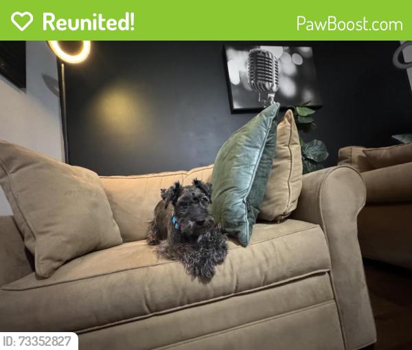 Reunited Male Dog last seen Near sw 115th terrace Miami fl, Miami, FL 33186