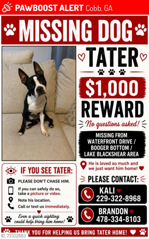 Lost Male Dog last seen Booger Bottom, Waterfront Dr. Lake Blackshear, Cobb, GA 31735