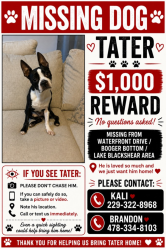 Lost Male Dog last seen Booger Bottom, Waterfront Dr. Lake Blackshear, Cobb, GA 31735