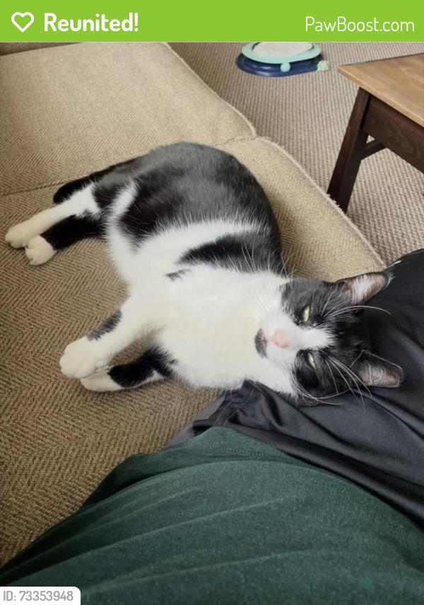 Reunited Male Cat last seen Turney/Warner Road, Cleveland, OH 44105
