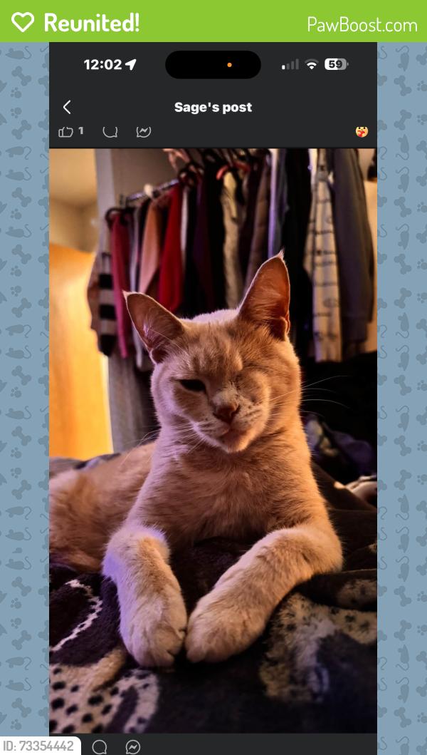 Reunited Male Cat last seen Three rivers village trailer park, Three Rivers, MI 49093
