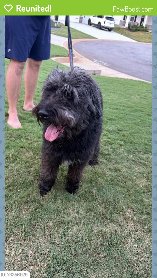 Reunited Male Dog last seen Emory Park subdiviy, Woodruff, SC 29388