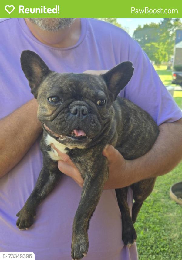 Reunited Female Dog last seen Ardin dr, West Norriton Township, PA 19403
