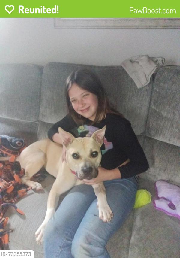 Reunited Female Dog last seen Near & DugWay Bridge Rd., South Kingstown, RI 02892