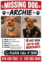 Lost Male Dog last seen The northwest extermination, Dallas, GA 30132