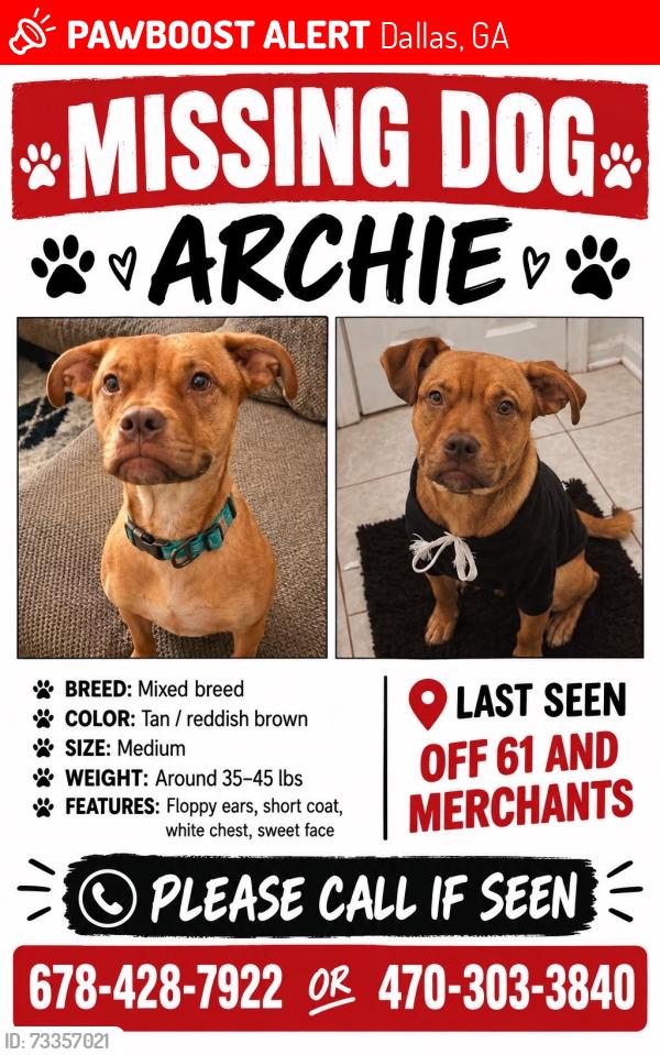 Lost Male Dog last seen The northwest extermination, Dallas, GA 30132
