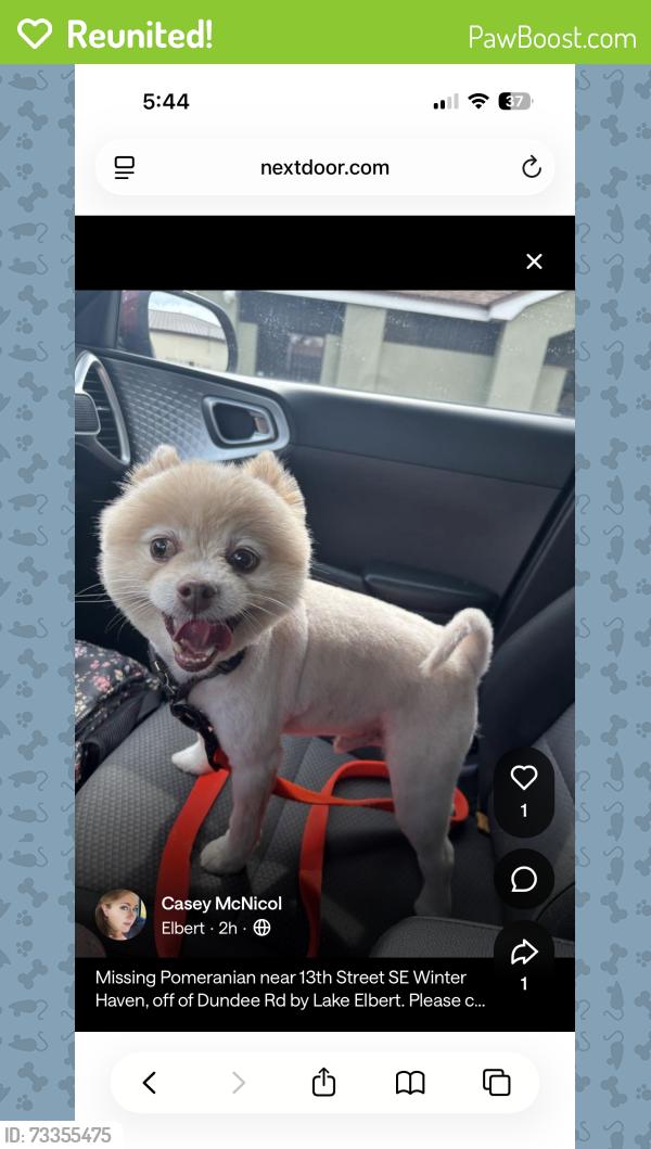 Reunited Male Dog last seen Near 13th st se 33880, Winter Haven, FL 33880