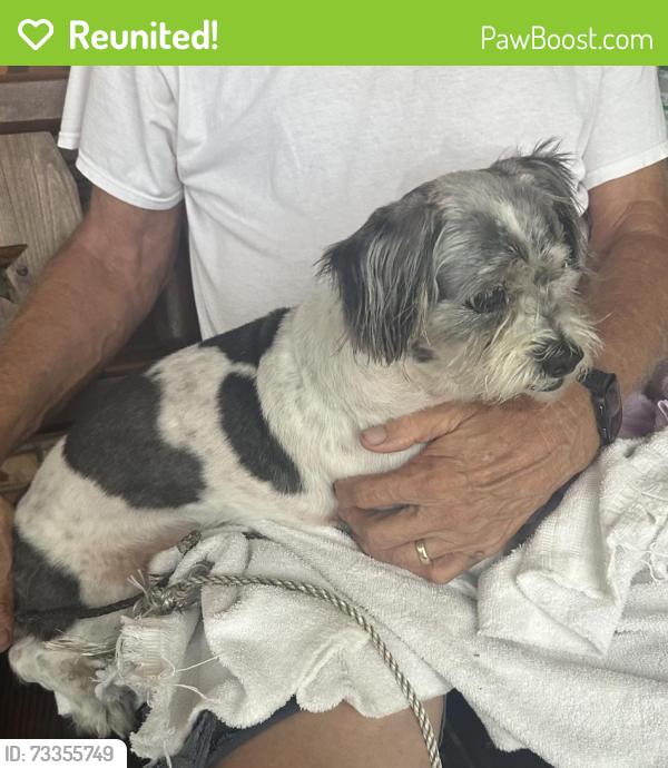 Reunited Male Dog last seen Kepner St and Stratemeyer, Orlando, FL 32839