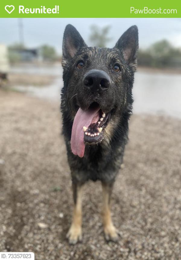 Reunited Male Dog last seen Near Marana pet clinic, Marana, AZ 85653