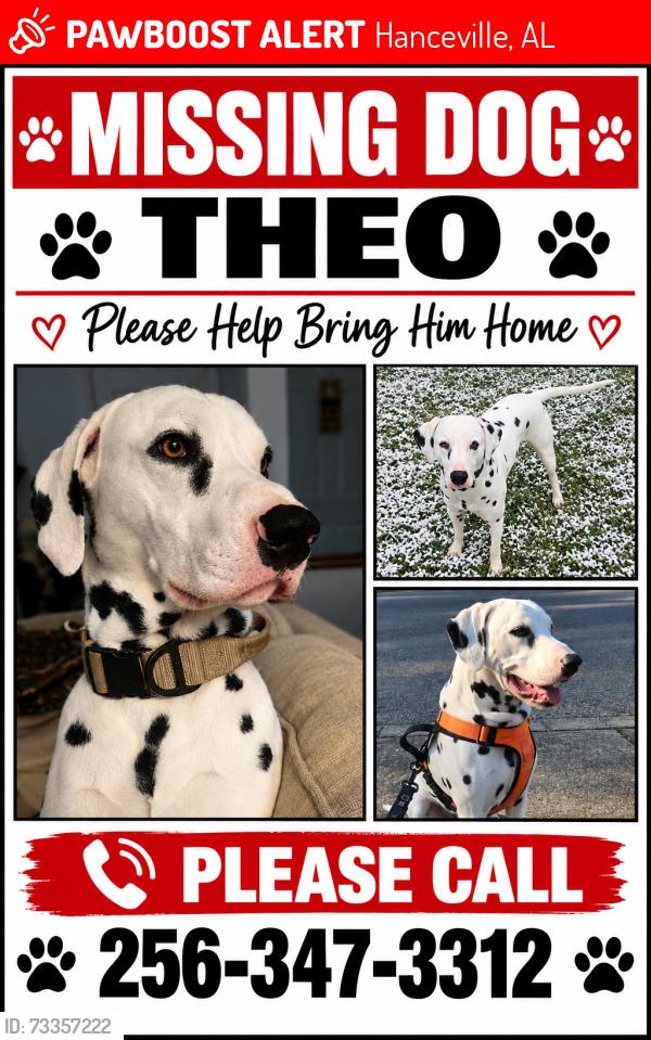Lost Male Dog last seen Hanceville, Hanceville, AL 35077