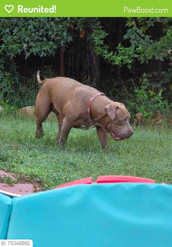 Reunited Female Other last seen Kickapoo Ave, Gastonia, NC 28056, USA, Gastonia, NC 28056