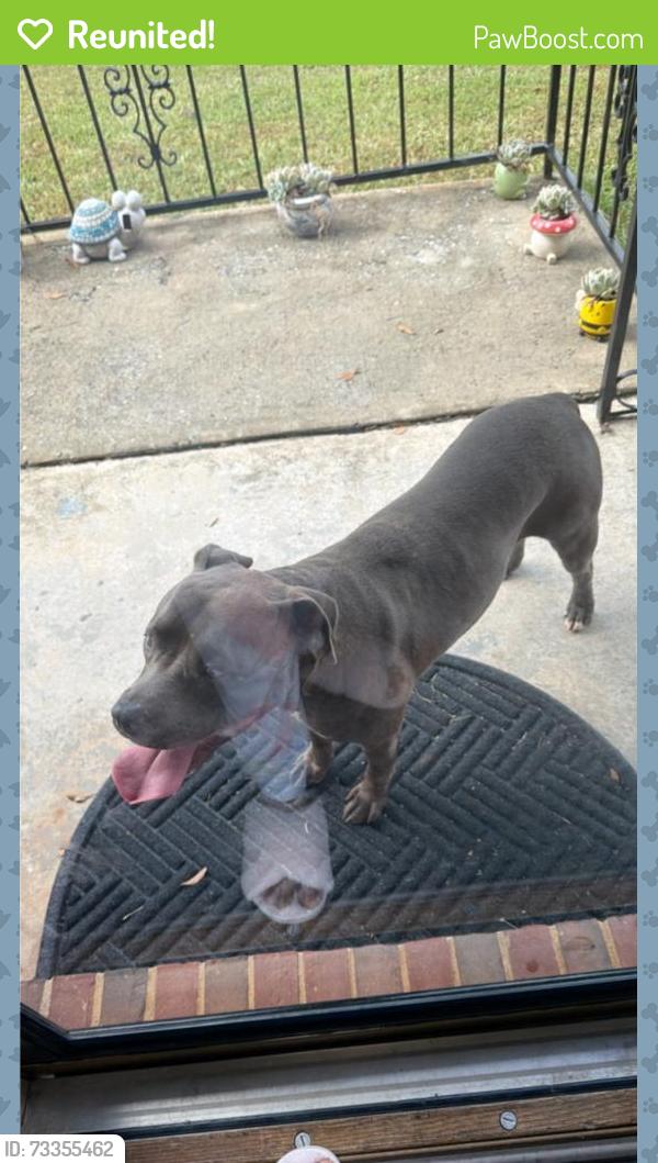 Reunited Male Dog last seen Briarlock road and Whitesville road, Columbus, GA 31904