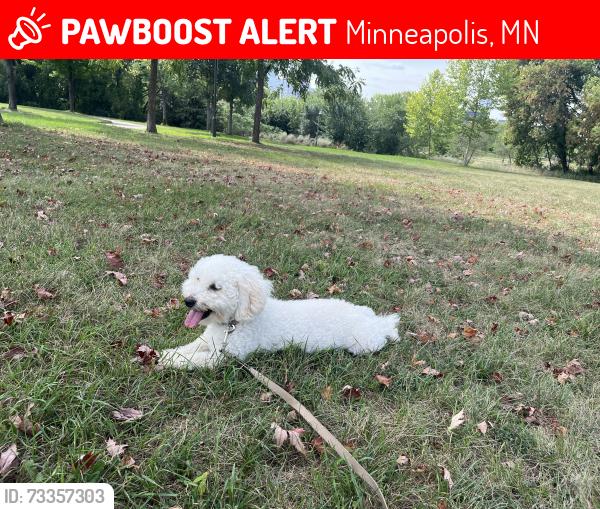 Lost Male Dog last seen Saint Anthony Parkway and Central, Minneapolis, MN 55413