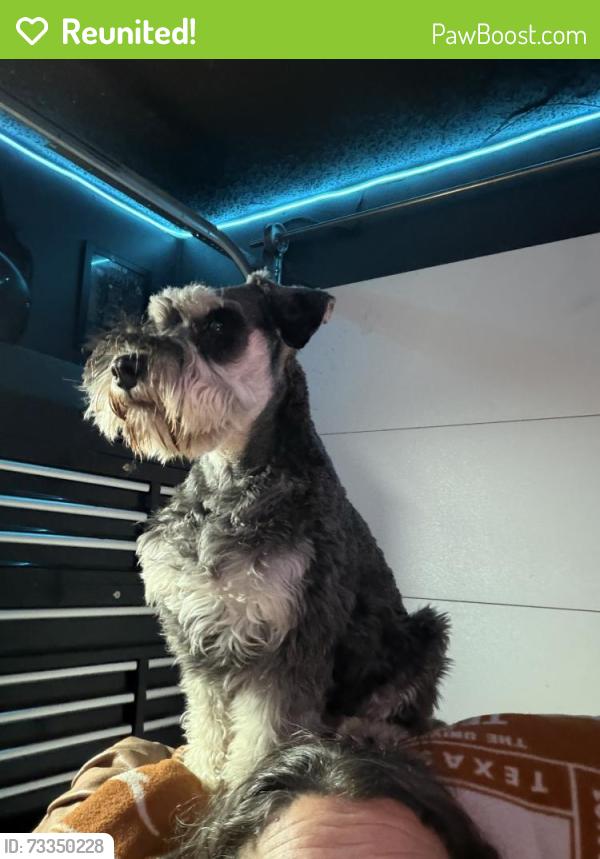 Reunited Male Dog last seen Sherman, york, Wichita Falls, TX 76309