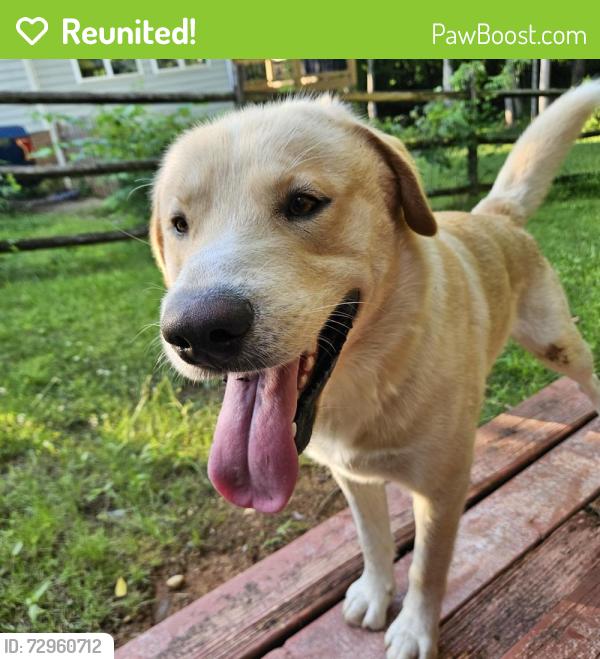 Reunited Male Dog last seen ECM Truck yard, Charlotte, NC 28269