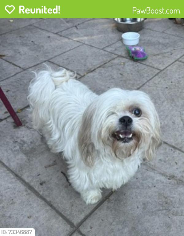Reunited Unknown Dog last seen 26th Ave and Quail St Lakewood CO, Lakewood, CO 80215