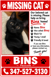 Lost Male Cat last seen Sheridan road, Tobyhanna, PA 18466