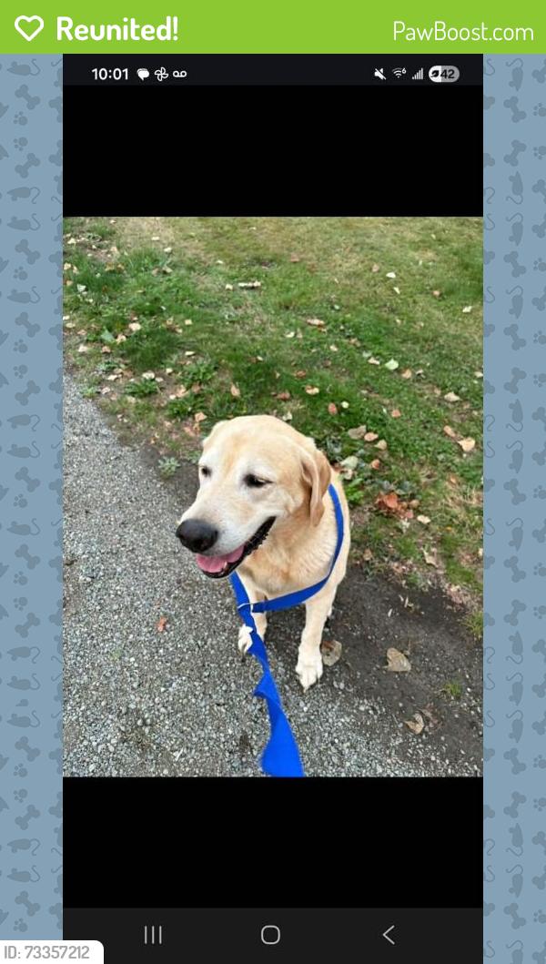 Reunited Male Dog last seen Mount Vernon, WA, Mount Vernon, WA 98273