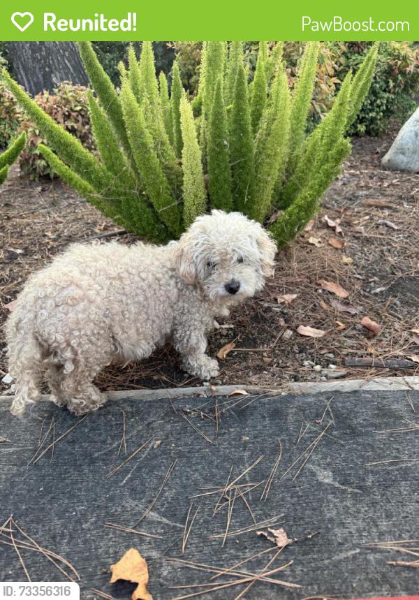 Reunited Unknown Dog last seen Glendora, CA 91741, USA, Glendora, CA 91741