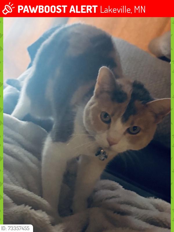 Lost Female Cat last seen Lafayette Way/ Lakeforest Drive/ Kingsway Path, Lakeville, MN 55044