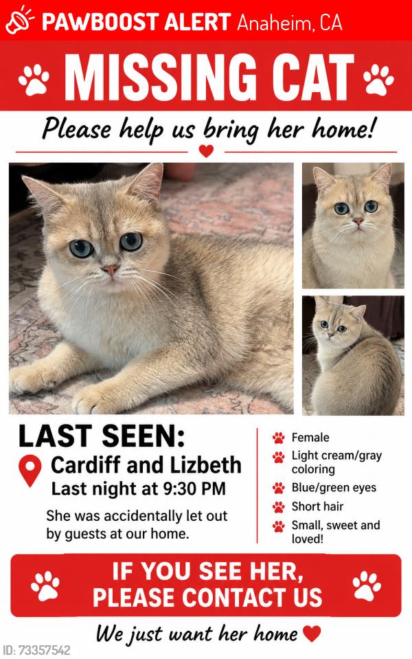Lost Female Cat last seen Lizbeth st, Anaheim, CA 92806