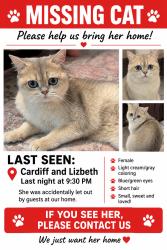 Lost Female Cat last seen Lizbeth st, Anaheim, CA 92806