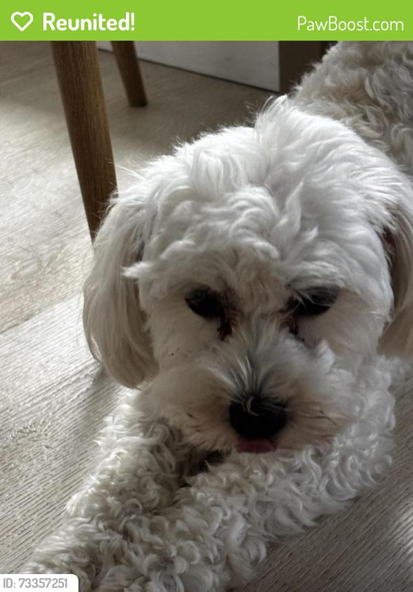 Reunited Female Dog last seen Colonial drive, Winter Garden, FL 34787