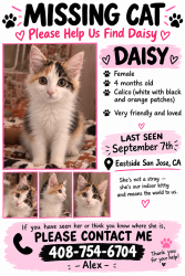Lost Female Cat last seen Clayton and marten, San Jose, CA 95127