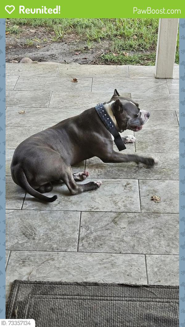 Reunited Male Dog last seen Delta Wood Trail/Auburn Oak, Humble, TX 77346