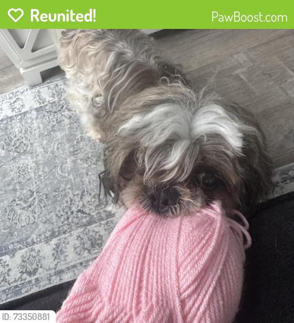 Reunited Male Dog last seen Near 4310 NE 1st Ter, Oakland Park FL 33334 United States, Oakland Park, FL 33334