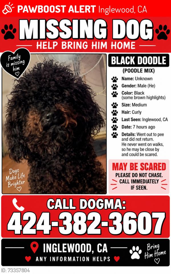 Lost Male Dog last seen Victory & Praire, Inglewood, CA 90303