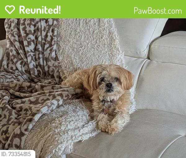 Reunited Female Dog last seen Osborne Lane and Beaver Street Sewickley PA, Sewickley, PA 15143