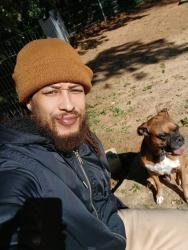 Lost Male Dog last seen Whestheimer rd and westerland drive, Houston, TX 77063