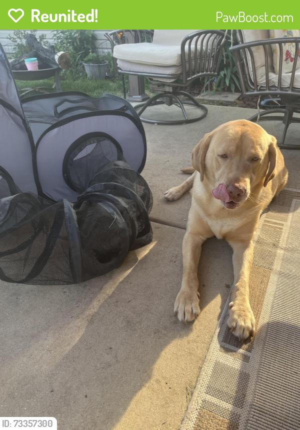 Reunited Male Dog last seen County line and Townsend, Plainfield, IL 60586