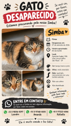 Lost Female Cat last seen Avenida , Guabá, Vila Curuçá Velha, SP 08030-020
