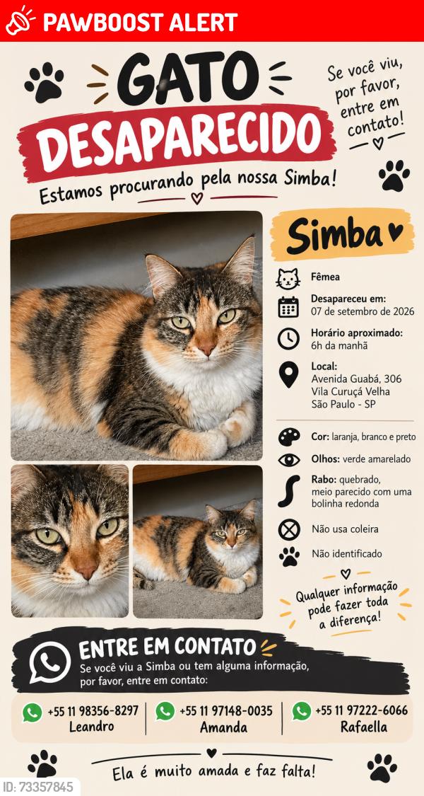 Lost Female Cat last seen Avenida , Guabá, Vila Curuçá Velha, SP 08030-020