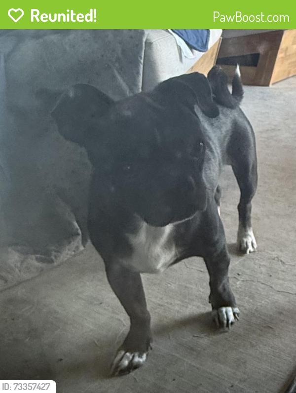 Reunited Male Dog last seen Edgefield and Crestwood, Fort Worth, TX 76107
